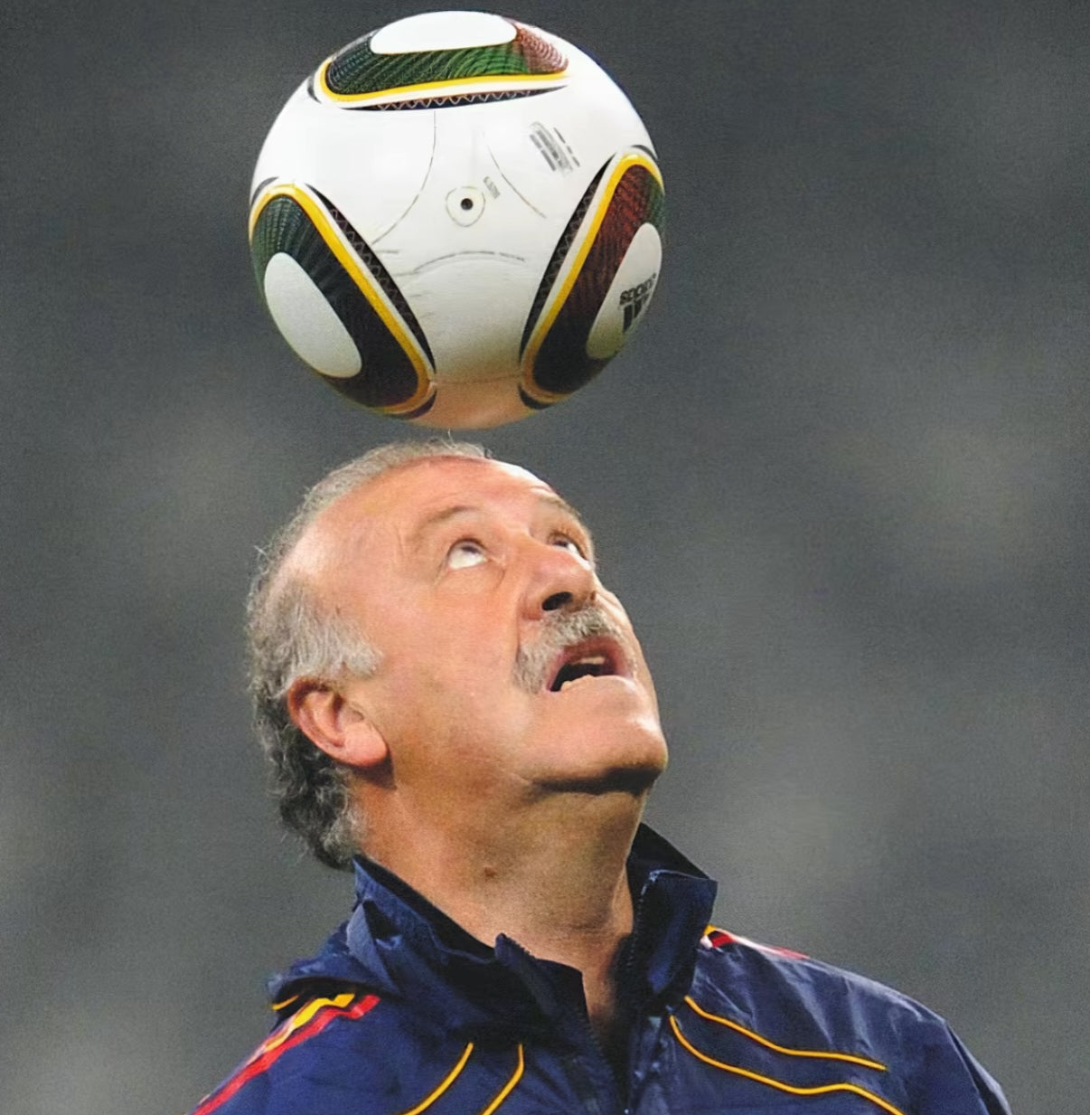 WORLD CUP 2010 BALL